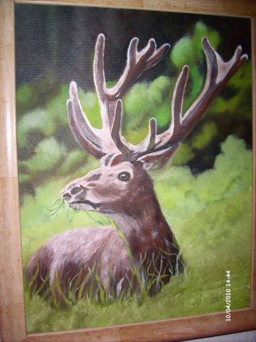 cerf